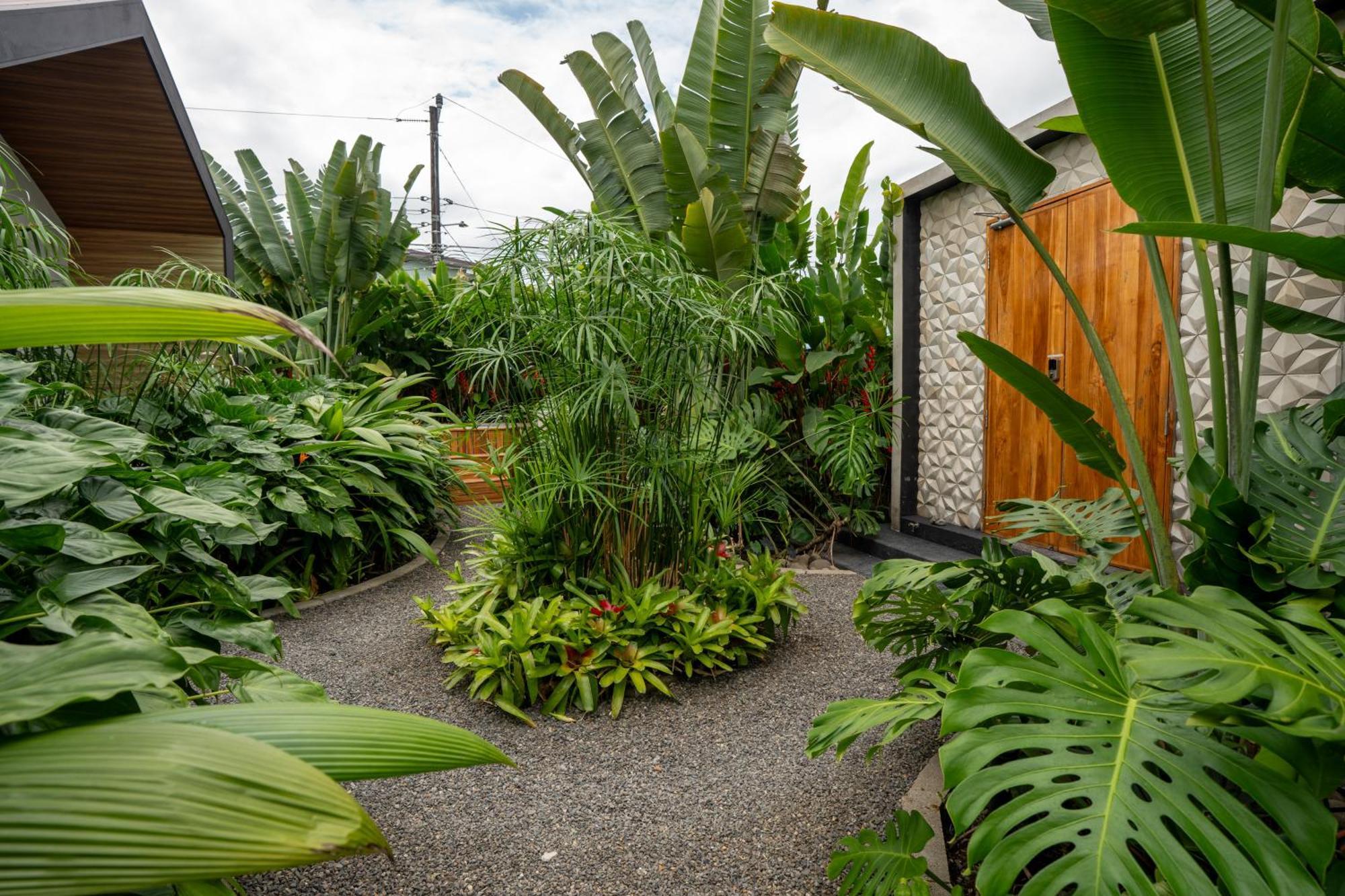 Suwa Villa Arenal La Fortuna Exterior photo