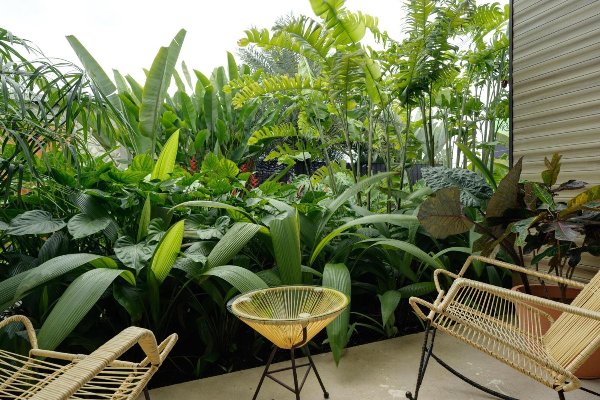 Suwa Villa Arenal La Fortuna Exterior photo